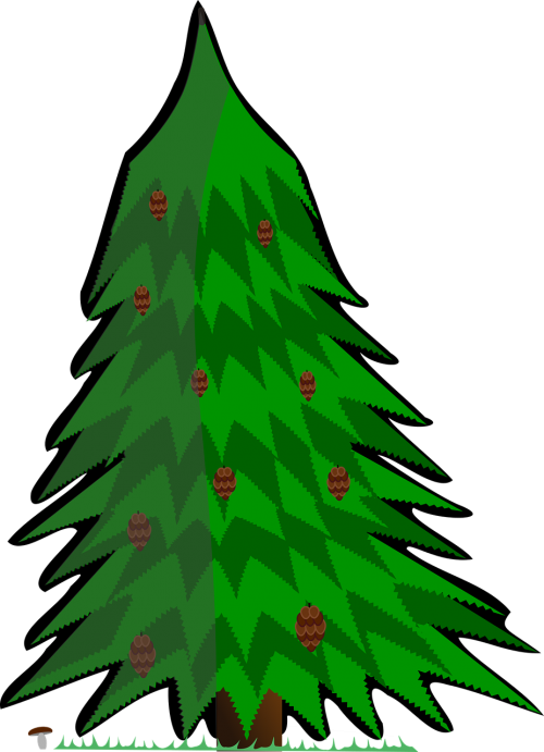 conifer vector tree