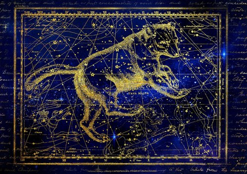 constellation  big bar  ursa major zodiac