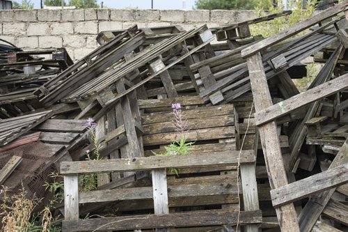 construction  flower  pallets