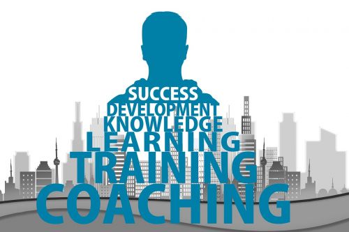consulting training learn