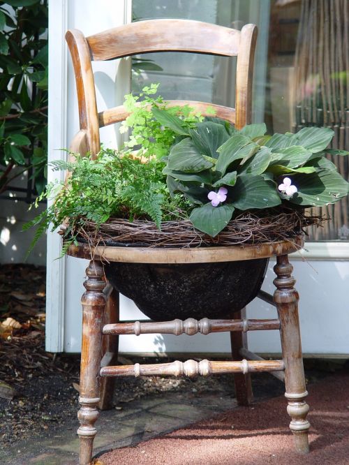 container plant gardening