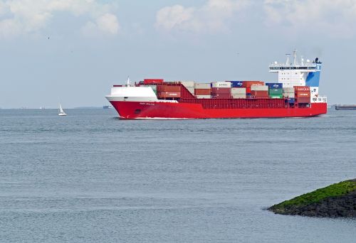 container freighter westerschelde waters