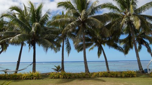 cook island beach south pacific