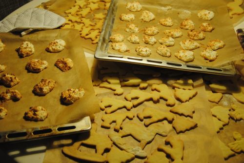 cookie pastries sweet
