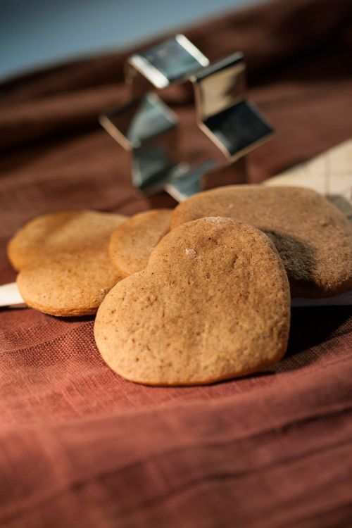 cookie gingerbread biscuit