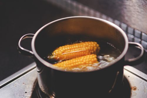 cooking boiling corn