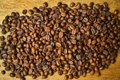 core seed coffee