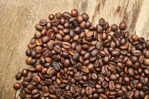 core seed coffee