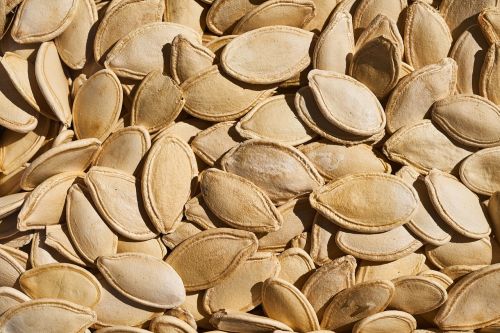 core pumpkin seeds dried fruits and nuts