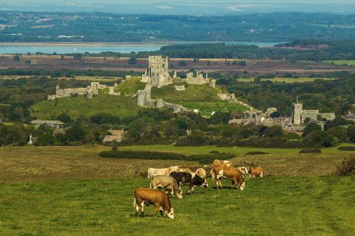 corfe castle monument panorama