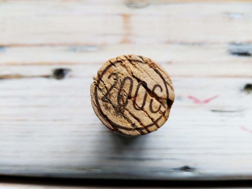 cork wood nature