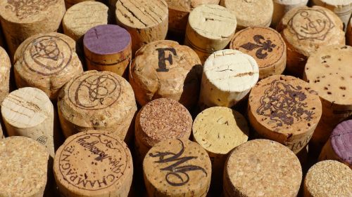 cork wine winery