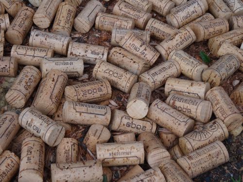 cork wine wineries