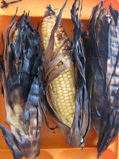 corn kernels burnt