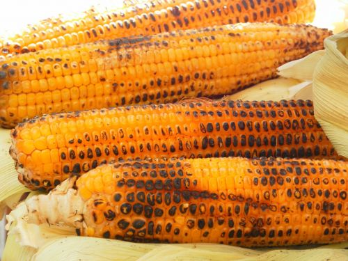 corn corn on the cob grilled corn