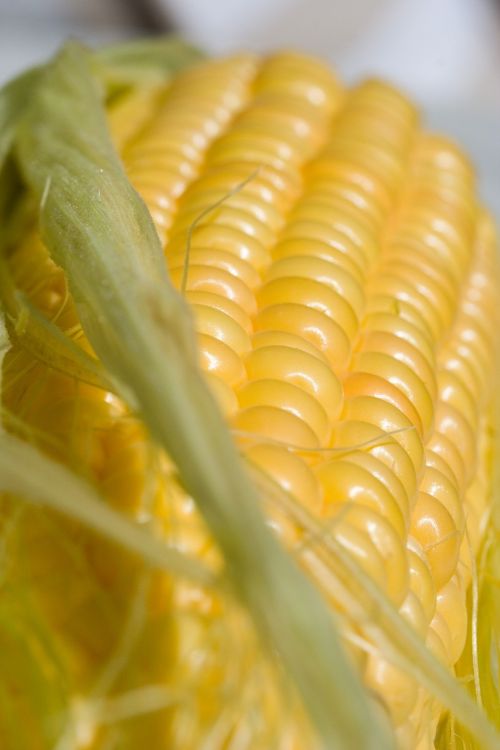 corn mat closeup