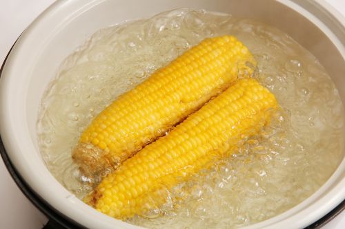 corn cooking food