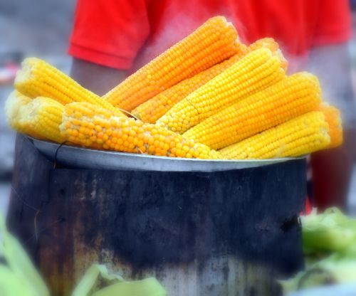 corn traditional sweet
