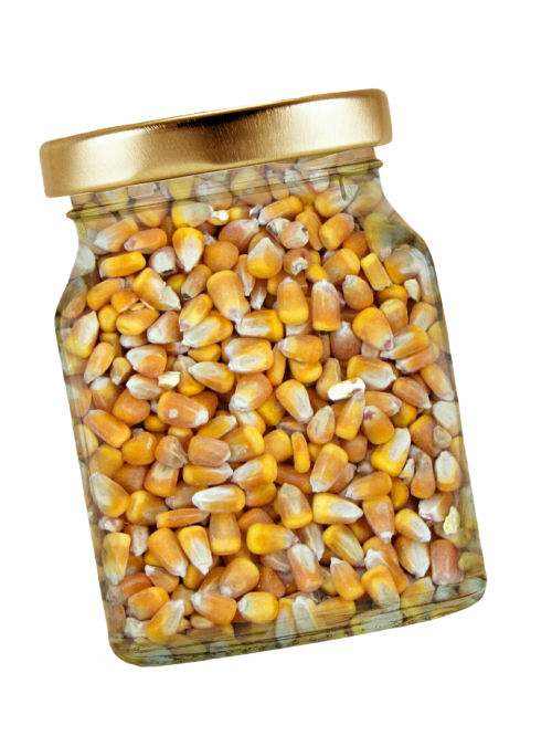 corn glass lid