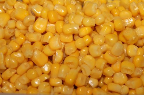 corn background food