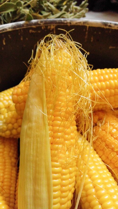 corn hazelnut food