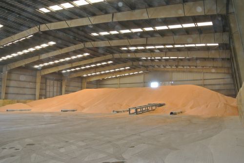 corn warehouse bulk