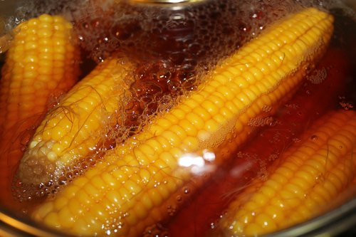 corn  nutrition  yellow