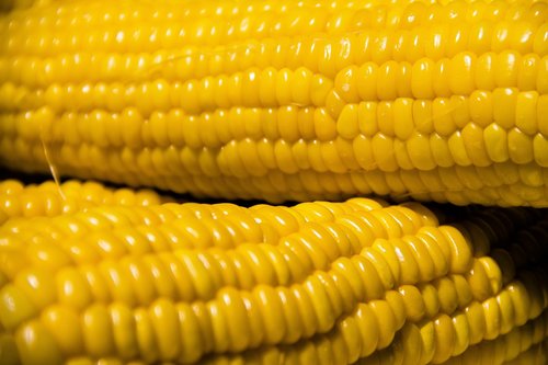 corn  vegetables  nutrition