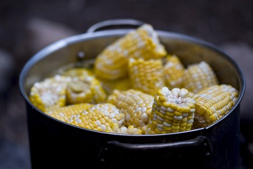 corn  boiled  yellow