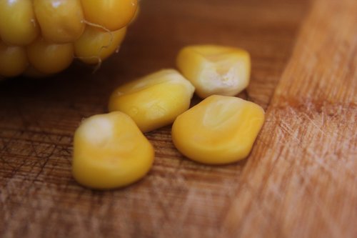 corn  close up  food