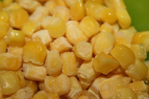 corn plants yellow