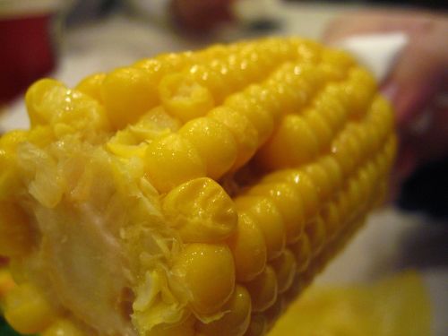 corn food kfc corn