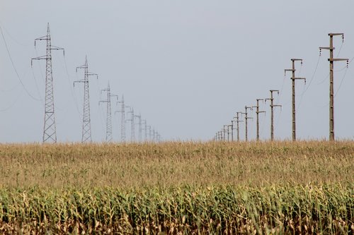 corn  food  energy