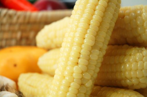 corn grain snack