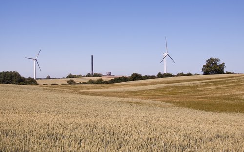 corn field  wind turbines  landscape