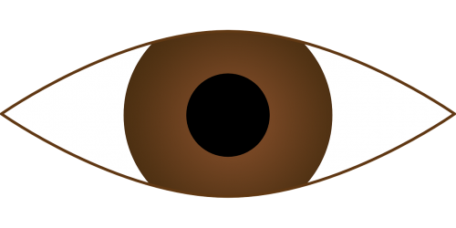 cornea eye eyeball