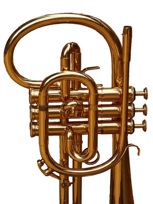 cornet trumpet brass instrument