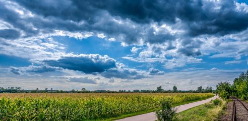 cornfield landscape clouds