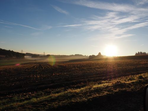 cornfield sunrise morning mist