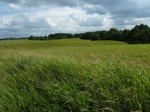 cornfield masuria moraine landscape