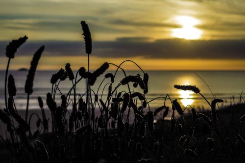 cornwall sunset sea