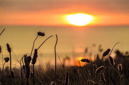 cornwall sunset sea