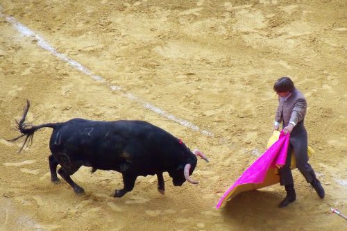 corrida bull spain