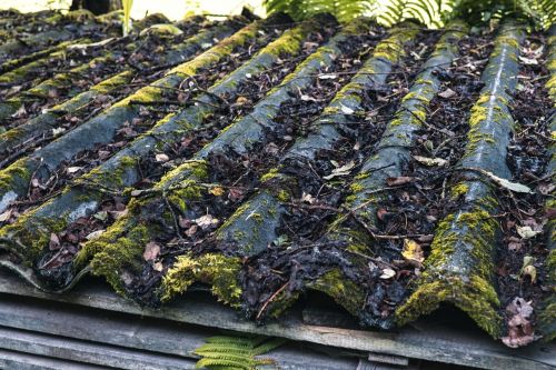 corrugated sheet moss roof