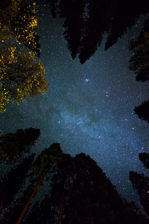 cosmos night sky