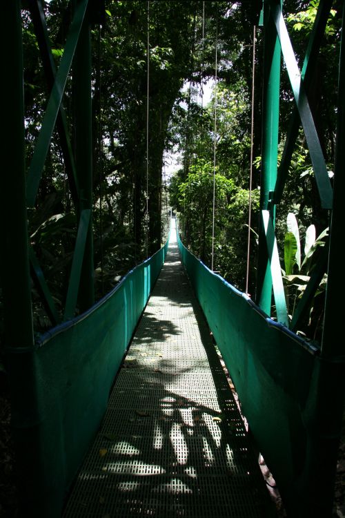 Costa Rica Hanging Bridge