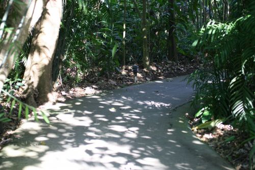 Costa Rica Trail