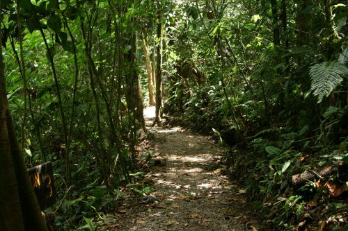 Costa Rica Trail