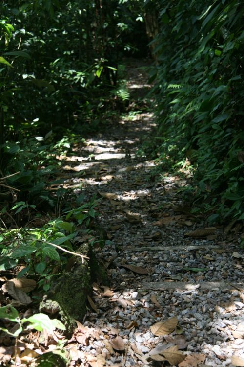 Costa Rica Trail