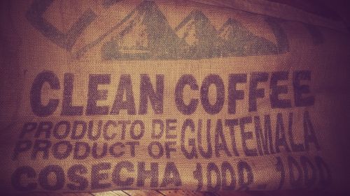 costal coffee guatemala